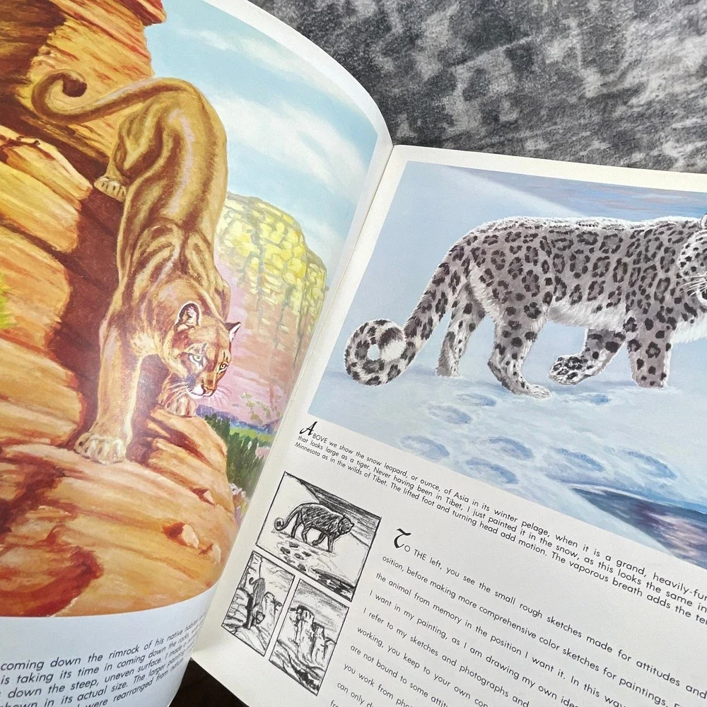 The Cats in Action Walter T Foster Art Book Walter‎ Wilwerding Tiger Leopard